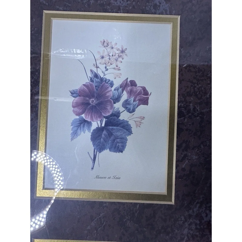 Vintage botanical Art French Gold Frames‎